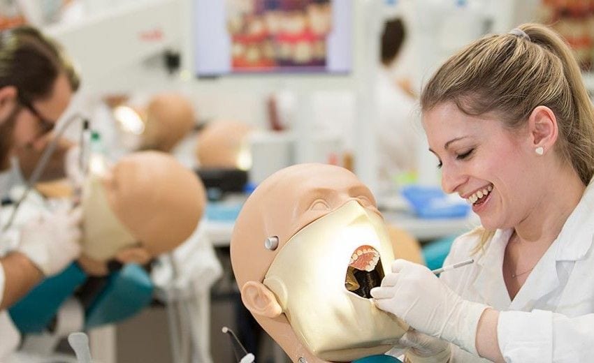 Universities of Dentistry in Europe - Study Dentistry in Europe in English